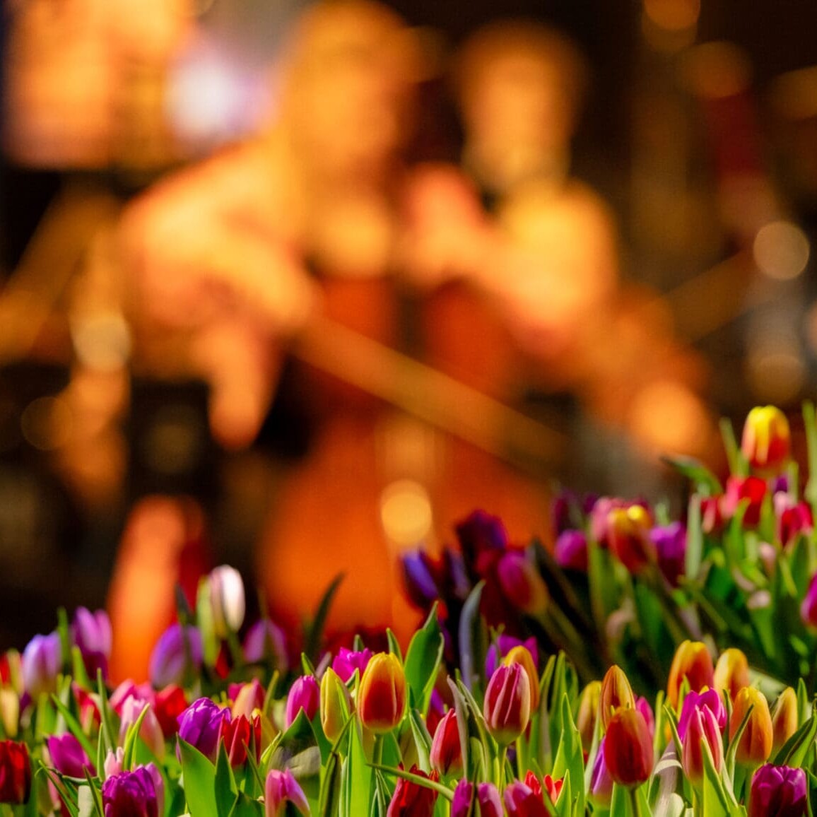 Åpningskonsert i Røros kirke 2026